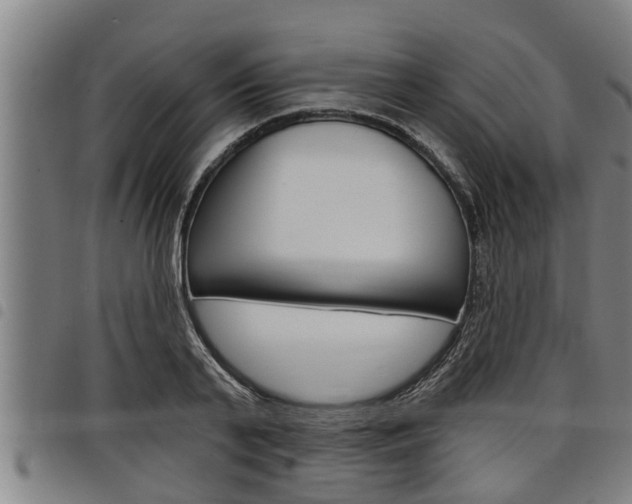 X0000098110791200804040800