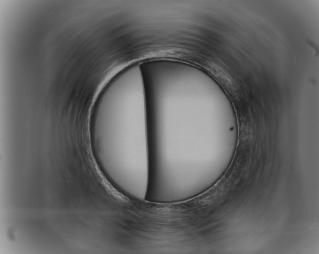 X0000098110792200804040800