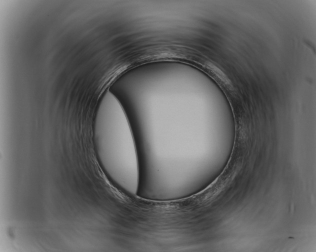 X0000098110793200804040800
