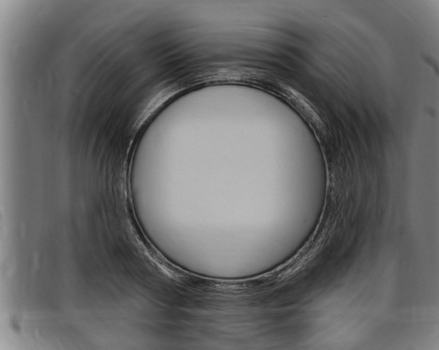 X0000098110794200804040800