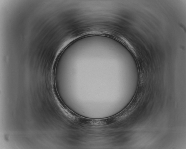 X0000098110795200804040800