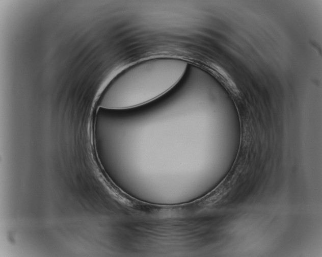 X0000098110796200804040800