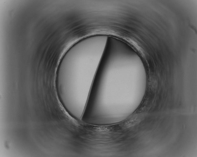 X0000098110799200804040800
