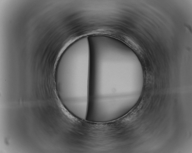 X0000098110800200804040800