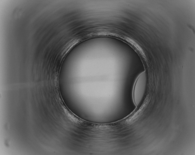 X0000098110801200804040800