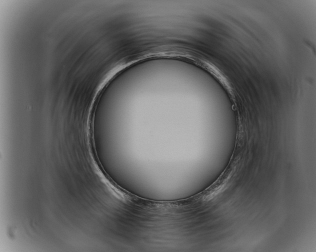 X0000098110803200804040800