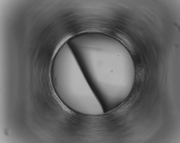 X0000098110804200804040800