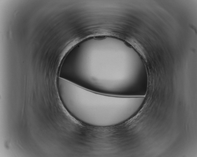 X0000098110805200804040800