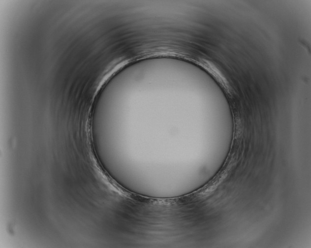 X0000098110806200804040800