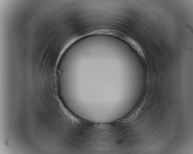 X0000098110808200804040800