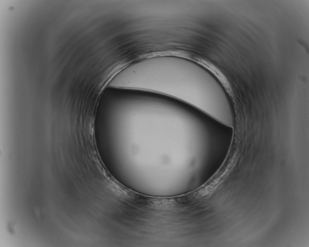 X0000098110809200804040800