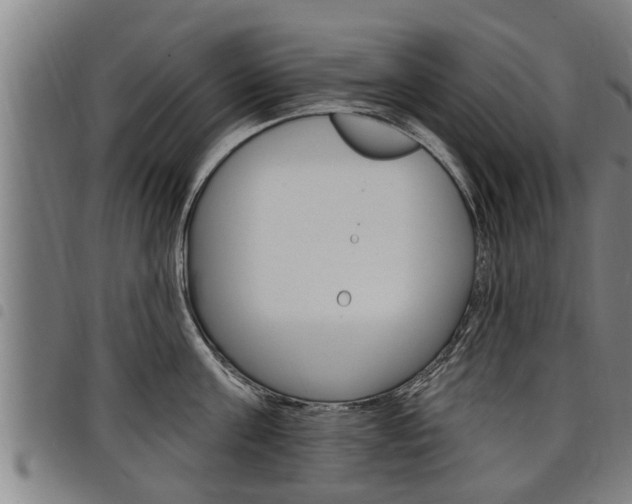X0000098110811200804040800