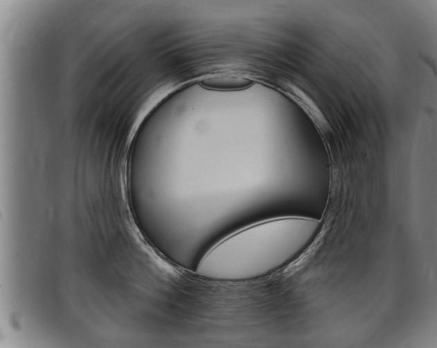 X0000098110812200804040800