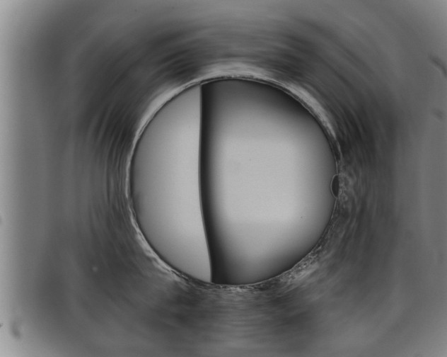 X0000098110815200804040800