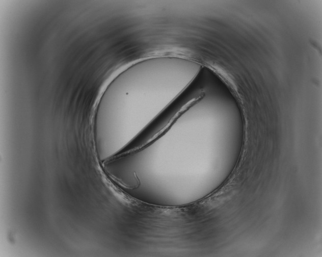 X0000098110816200804040800