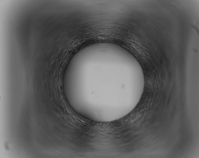 X0000098110817200804040759