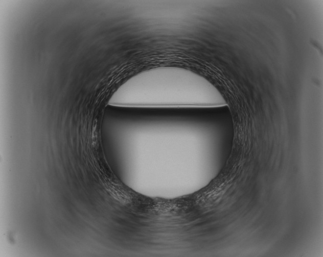 X0000098110818200804040759