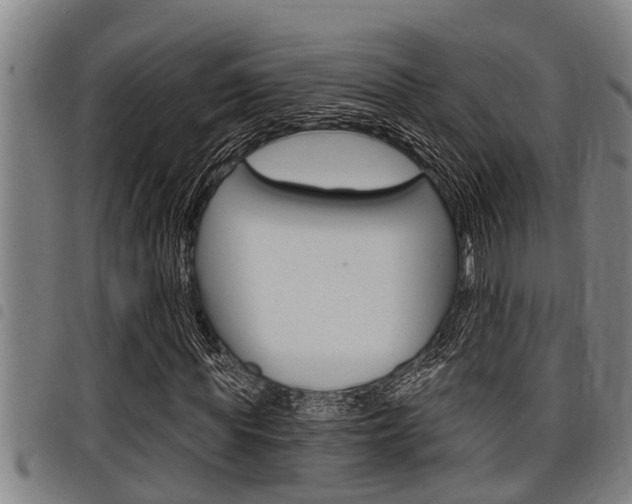 X0000098110819200804040759