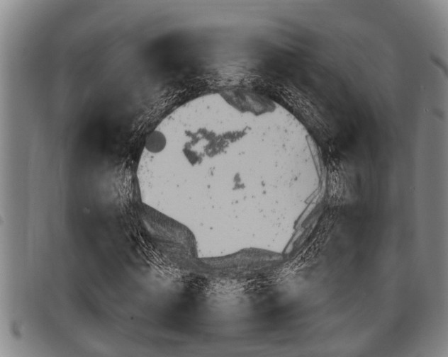 X0000098110820200804040759