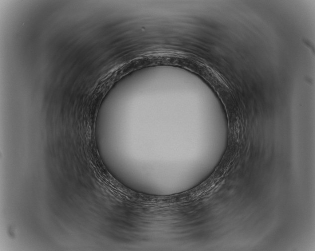 X0000098110821200804040759