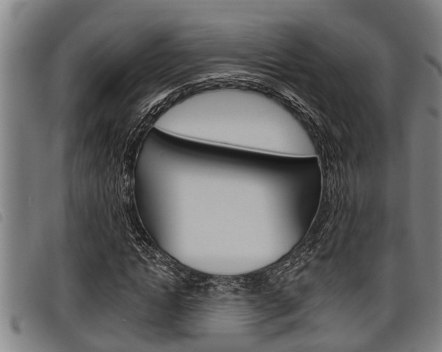 X0000098110822200804040759