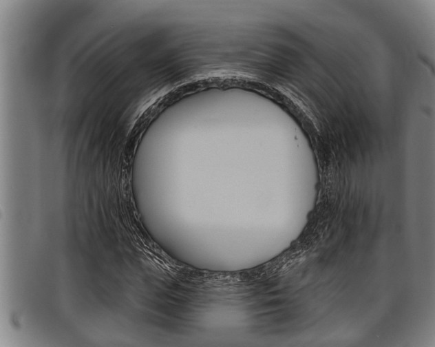 X0000098110823200804040759