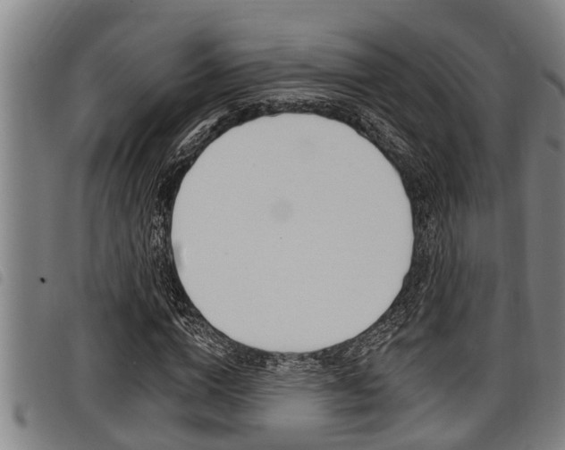 X0000098110824200804040759