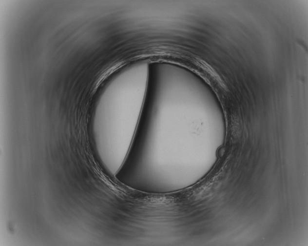 X0000098110826200804040759