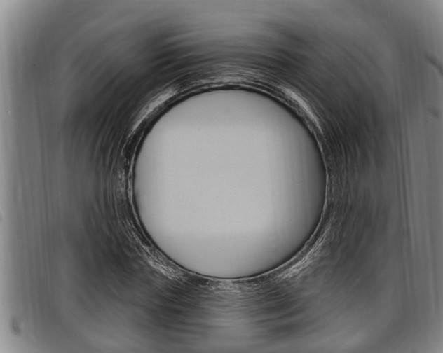 X0000098110827200804040759