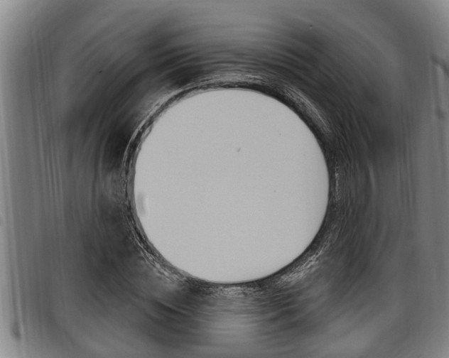 X0000098110828200804040759