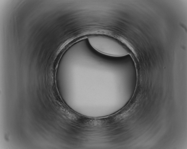 X0000098110829200804040759