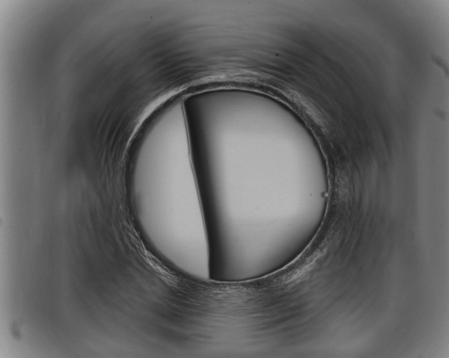 X0000098110830200804040759