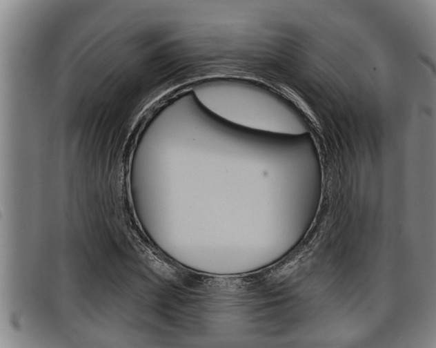 X0000098110831200804040759
