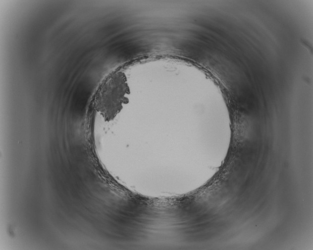 X0000098110832200804040759