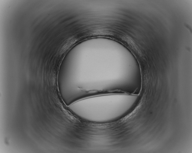 X0000098110833200804040759