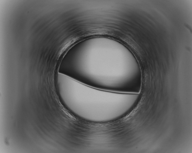 X0000098110834200804040759