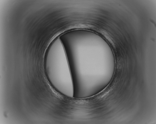 X0000098110837200804040759