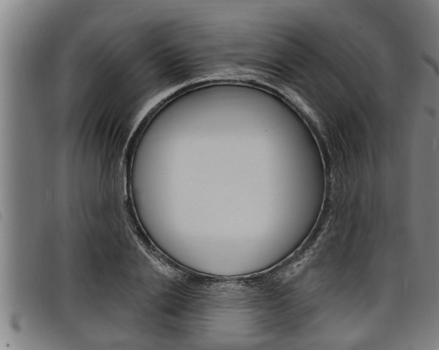 X0000098110838200804040759