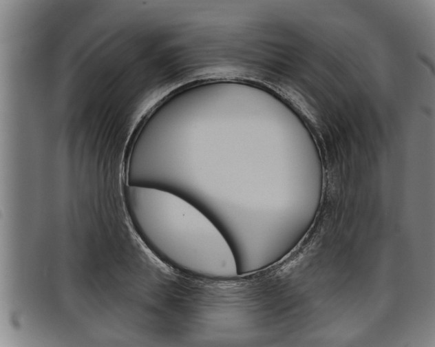X0000098110839200804040759