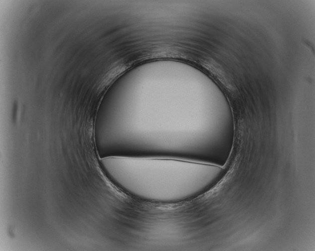 X0000098110841200804040759