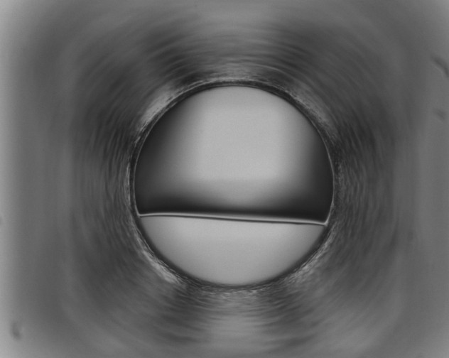 X0000098110842200804040759