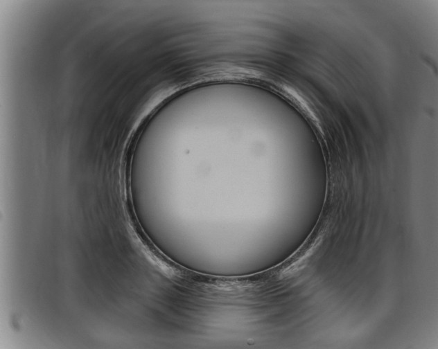 X0000098110843200804040759