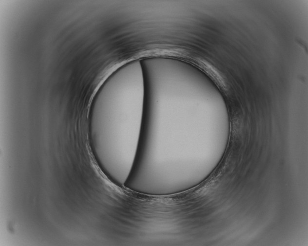 X0000098110844200804040759