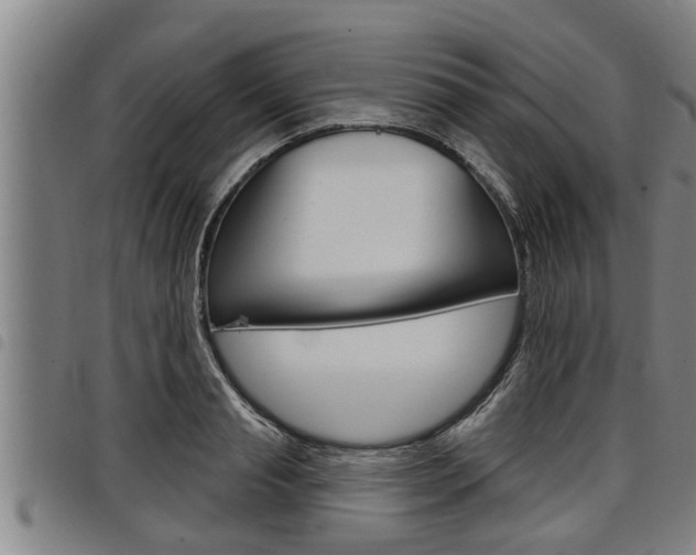 X0000098110845200804040759