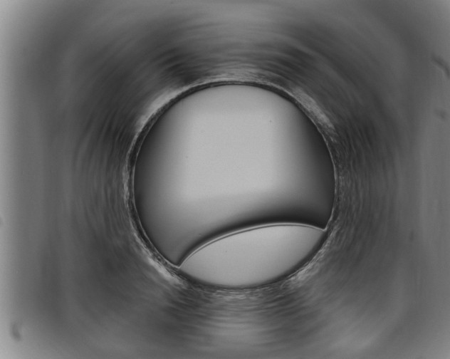 X0000098110846200804040759