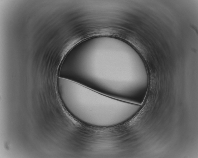 X0000098110850200804040759
