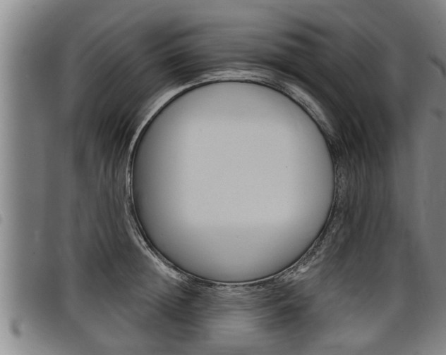 X0000098110852200804040800
