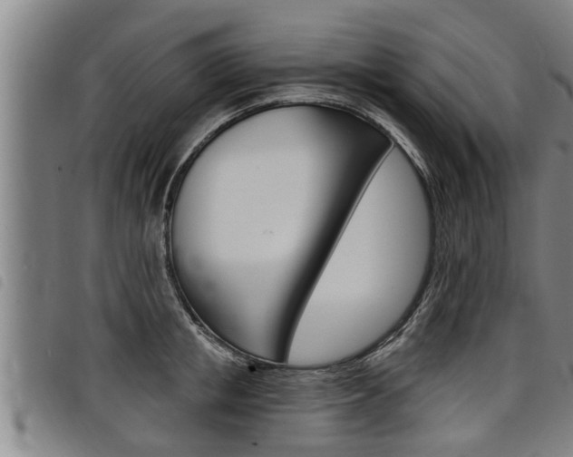 X0000098110853200804040800