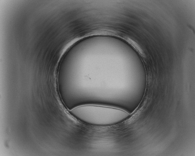 X0000098110854200804040800