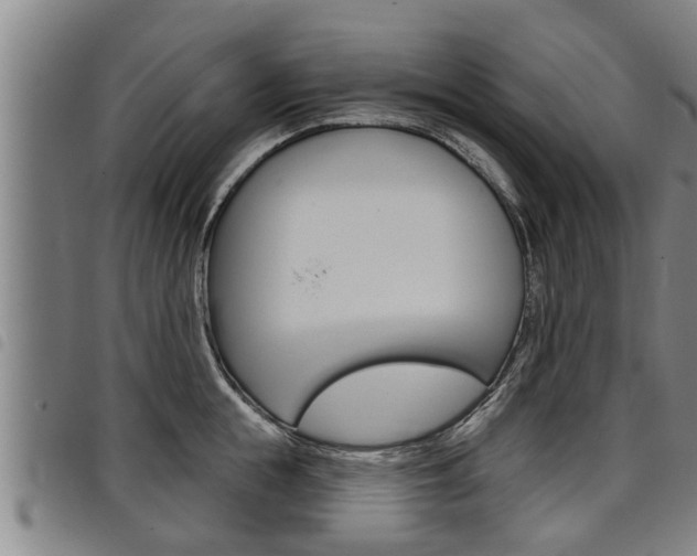 X0000098110855200804040800